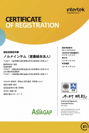 ASIAGAP_400 ASIAGAP_400